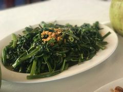 -越海渔村
