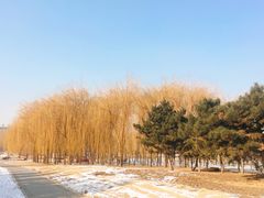 -长春公园(普阳街道)