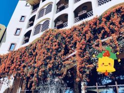 -帝元维多利亚大酒店·宴会厅