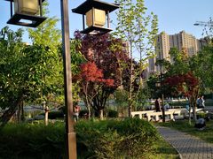 -木塔寺遗址生态公园
