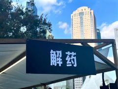 -陆家嘴中心绿地