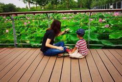 -大望京儿童游乐场