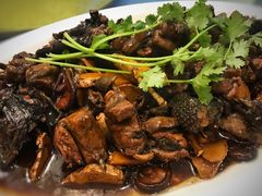 茶油焖黑鸡/只-茶油香闽南菜·花园餐厅(前埔店)