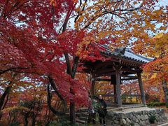 -常寂光寺