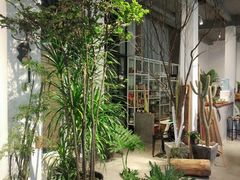 -蓝山四季西餐植物店