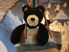 -济州岛泰迪熊博物馆