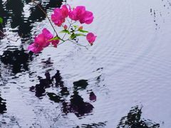 -三亚亚龙湾五号度假别墅酒店