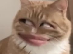 -绝味鸭脖(曲阳路二店)