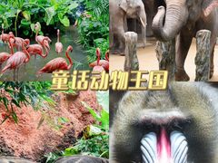 -长鹿旅游休博园
