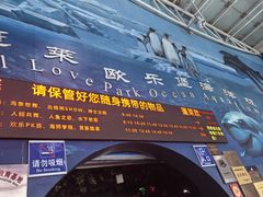 -蓬莱欧乐堡海洋极地世界