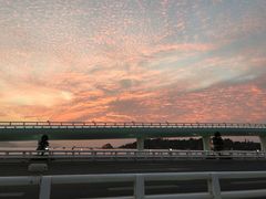 -演武大桥观景平台