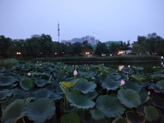 -西海子公园
