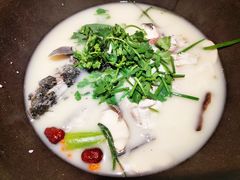 -咕嘟草帽鱼·牛奶一样的鲜鱼汤(天鹅湖万达广场店)