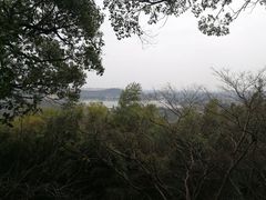 -上海佘山国家森林公园东门地面停车场