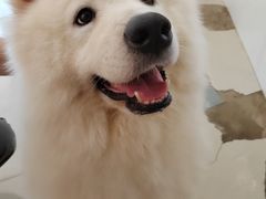 -共舞时光猫咖·狗咖(新街口店)
