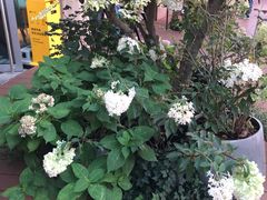 -La Terre乐田(万象城店)