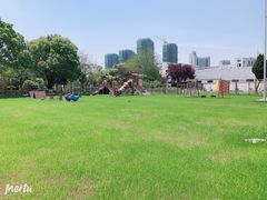 -上海松江区迪笙幼儿园