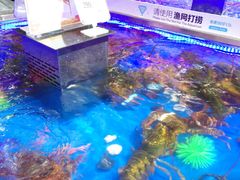 -盒马鲜生(莱蒙都会店)