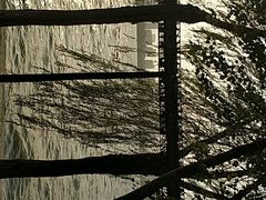 -艾溪湖湿地公园