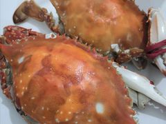 -常家活海鲜小吃(仅一家无分店)
