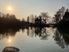 -海珠湖公园
