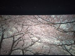 -南宁时代电影大世界(CGS激光中国巨幕)