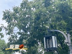 -树山生态村