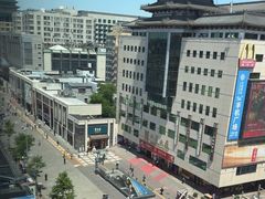 -喜悦烤鸭·新京菜(王府井店)