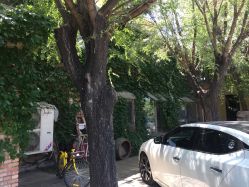 -北京当代芭蕾舞团·艺术中心