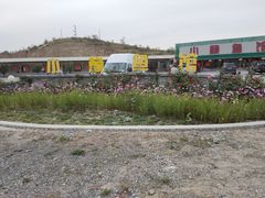 -小赖鱼馆