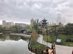 -迎泽公园