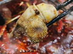 -堂客老火锅(欣阳广场总店)