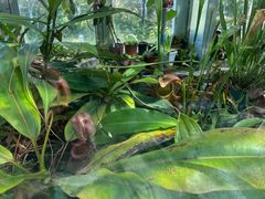 -国家植物园南园