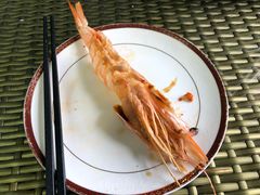 -红星渔村(将军石店)