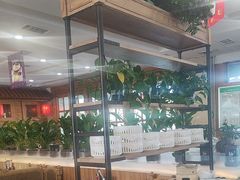 -大清花饺子(山庄店)