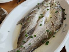 清蒸白鱼-品鲜村农家菜·阳澄湖大闸蟹(总店)