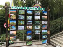 -上海佘山国家森林公园西佘山园