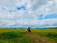 -塞罕坝国家级自然保护区