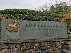 -龙井村