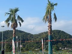 -东钱湖旅游度假区