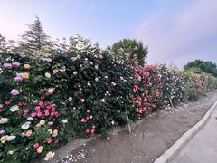 -太阳宫公园