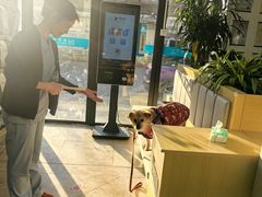 -美联众合动物医院·24h转诊中心