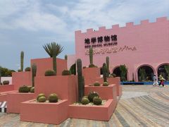 -漳州滨海火山岛自然生态风景区