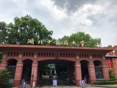-湖北中医药大学(昙华林校区)