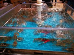 -Bravo永辉(爱琴海购物公园店)