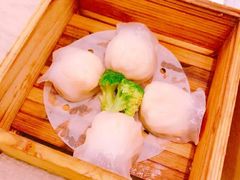水晶虾饺-茶港·点心·啫啫煲(范湖万达广场店)