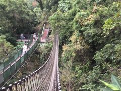 -太鲁阁公园
