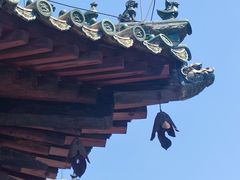 -隆兴寺