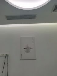 -agge蛋白医美