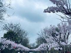 -武汉紫薇都市田园